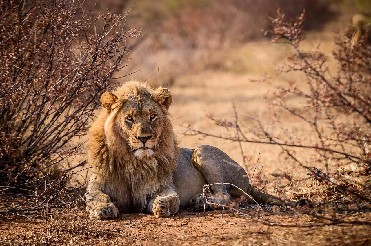 Cannes Lions takeaways that matter for the rest of 2026 - Ad Age